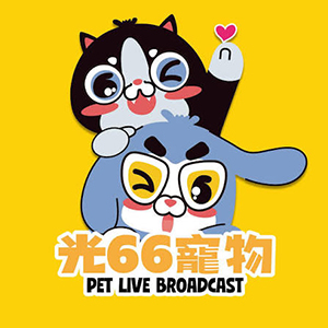 光66